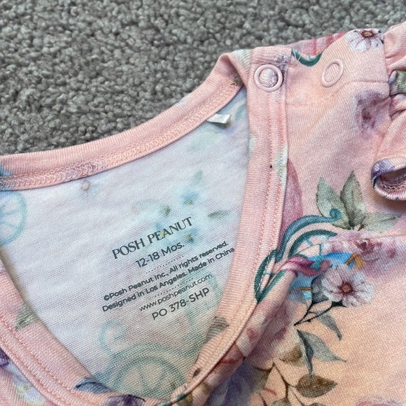 Posh Peanut Carriages Bubble - Picture 2 of 6